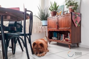 Na Encruzilhada, em rua tranquila com ares de interior, 82 m², sala com cozinha estilo americano, 2 quartos, 1 banheiro e mais dependência